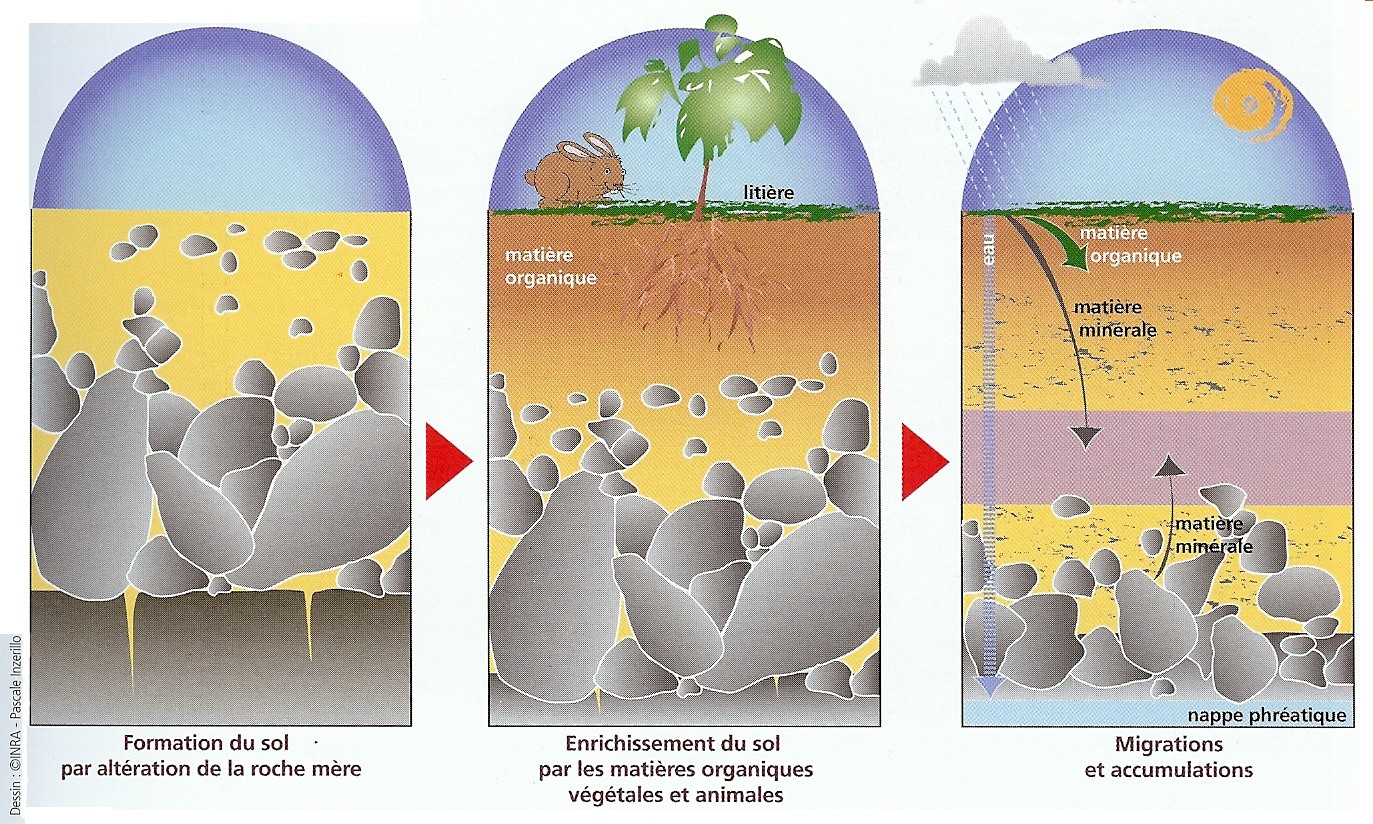 L eau agent d altération des roches Eduterre usages