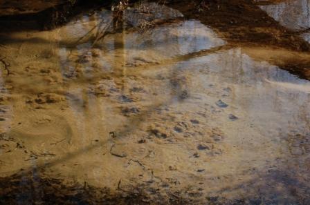 Eaux bleues bouillonement 