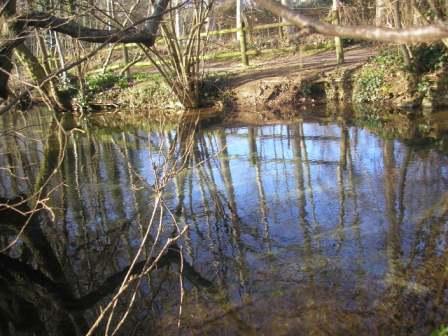 Tavers eaux bleues