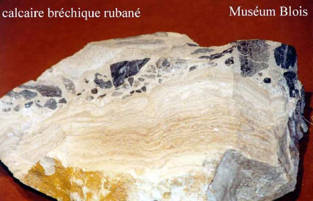 Calcaire de Beauce1