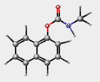 modèle moléculaire du carbaryl