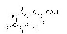 formule semi-développée du 2,4-D