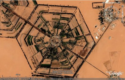 Détail d'une zone de culture