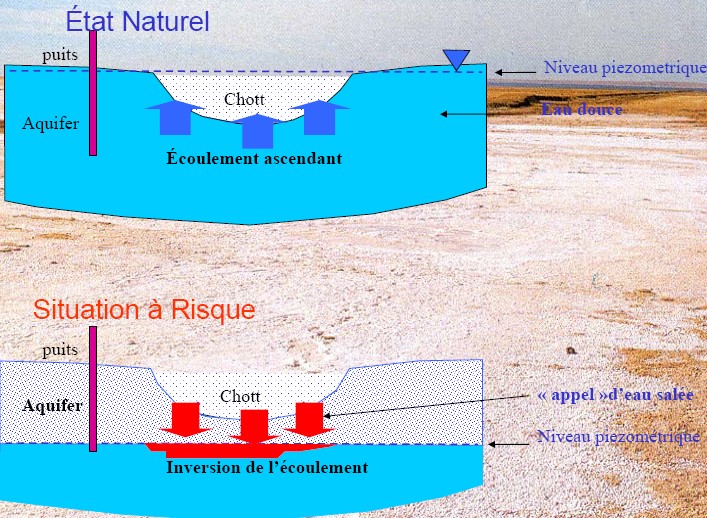Risque salinisation