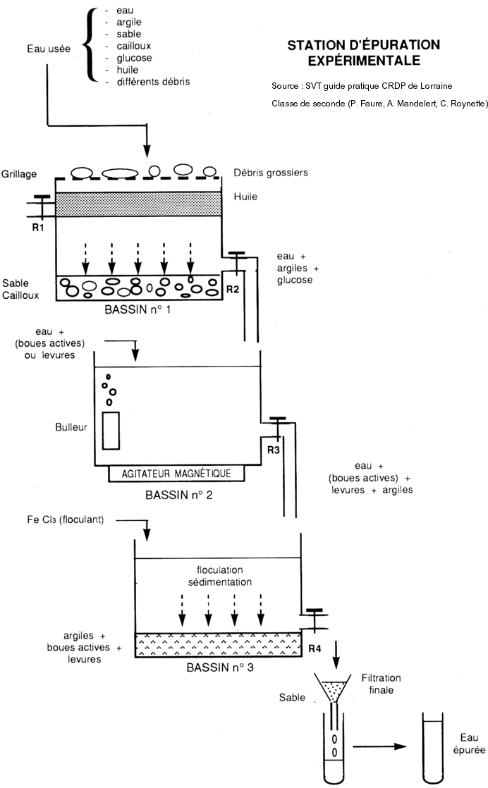 Epuration expérimentale