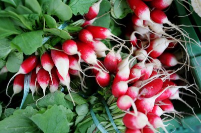 radis