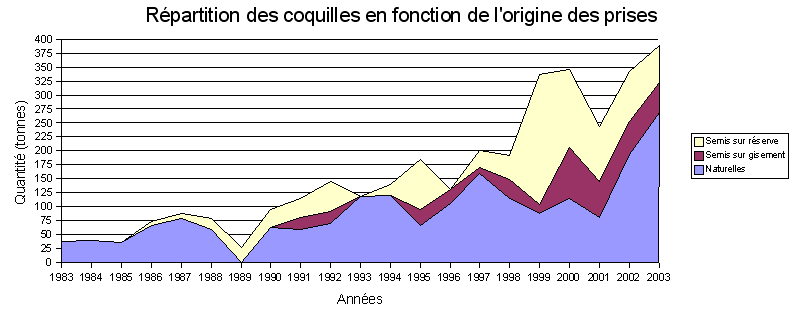 Origine des coquilles