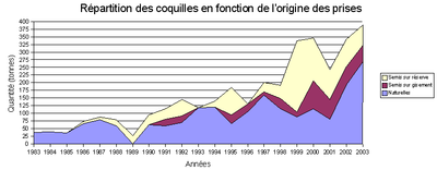 Origine des coquilles