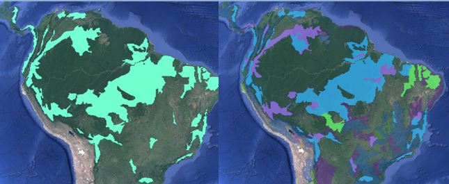 degradation deforestation.JPG