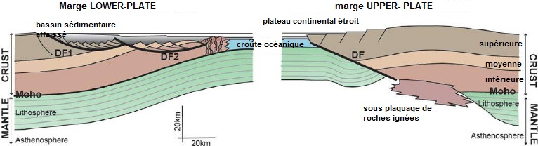 Fig 1 Schematic representation of the upper plate and lower plate concept after Lister