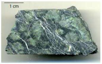 serpentine forage serpentine