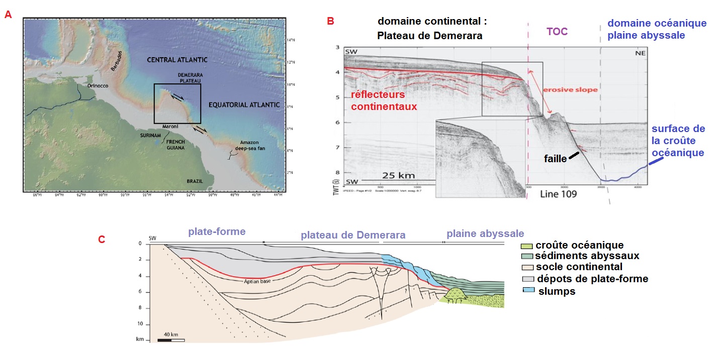 transformates marge1