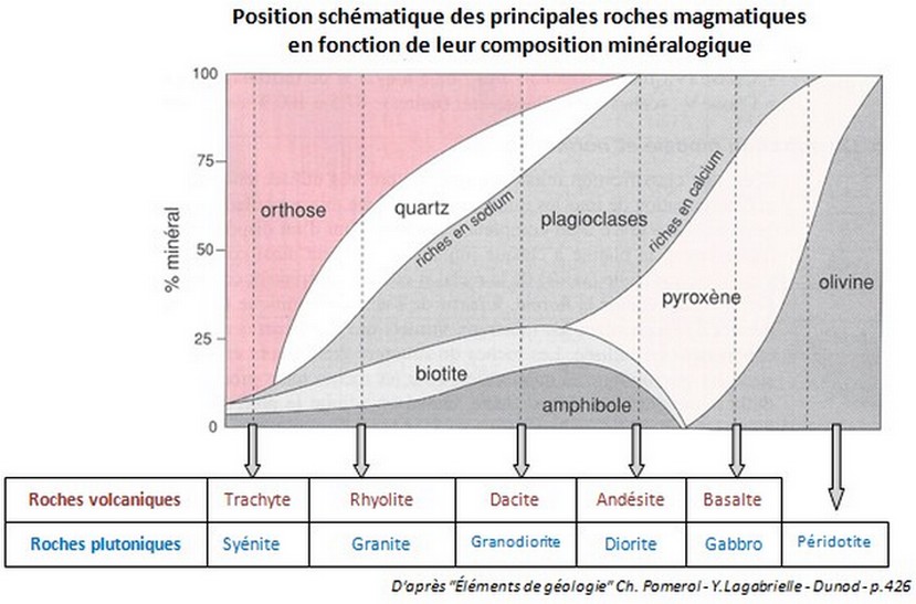 Classification