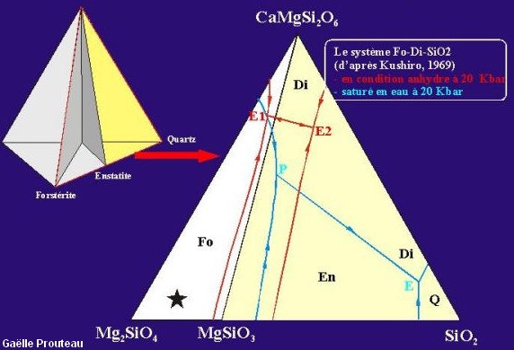 Fluides