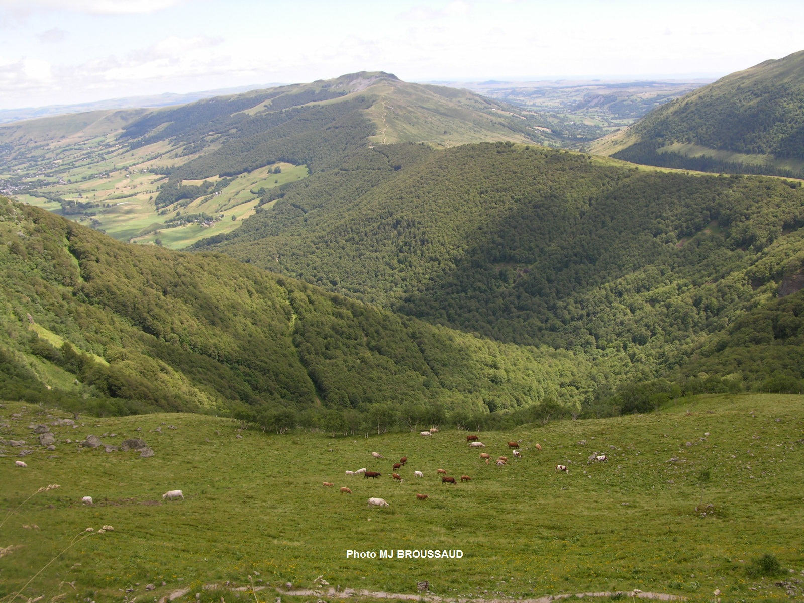 cantal.jpg