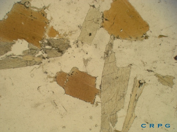 Gneiss oeillé LPNA