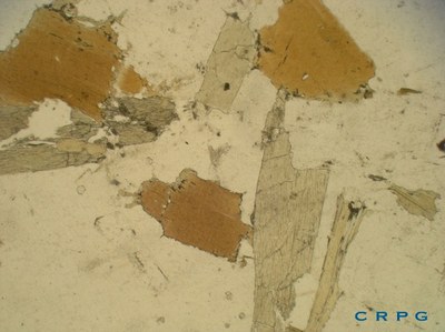 Gneiss oeillé LPNA