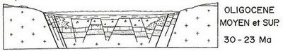 oligocene