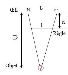 calcul clin doeil