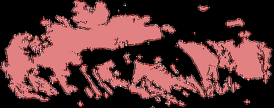 Massif Central NE