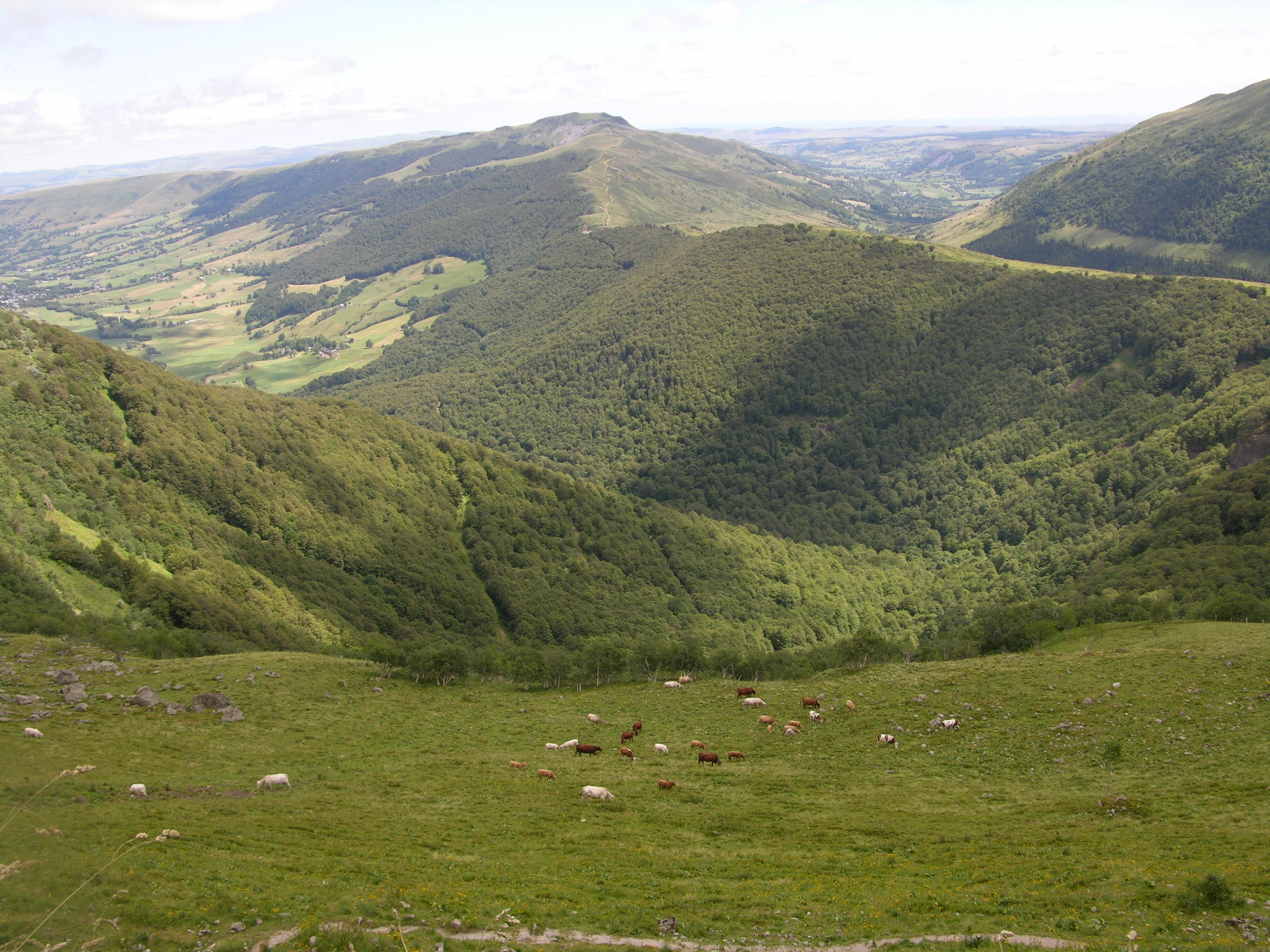 Monts du Cantal.JPG